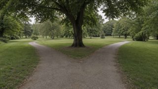 公園の分かれ道